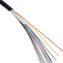 Picture of 12 Core Fiber Cable