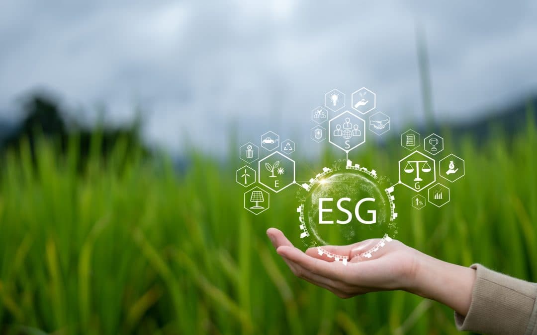 Environmental responsibility and sustainability